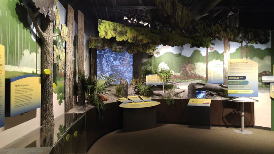 Weedon Island Preserve Cultural and Natural History Center – photo 3